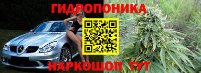 прущие грибы Ликино-Дулёво